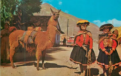 Pisaq - Peru — Nativas com sua lama — Cortesia de Lima - Peru