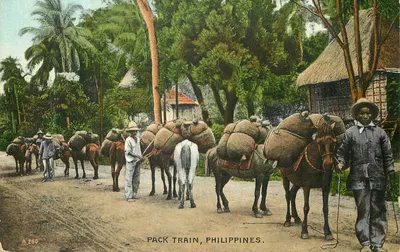 Pack Train, Filipinas — A 260 — editor não visível