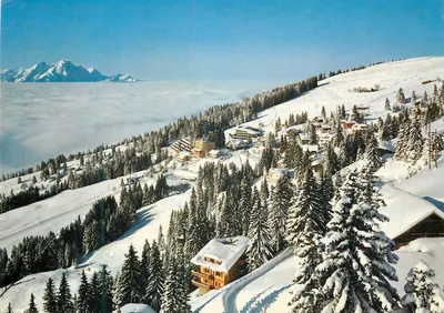 Rigi-Kaltbad — vue panoramique enneigée — M. Burgi, Vitznau Nr. 4170