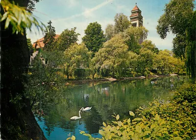 Kehl a. Rhein — vista do lago com cisnes e torre — Verlag G. Bartels