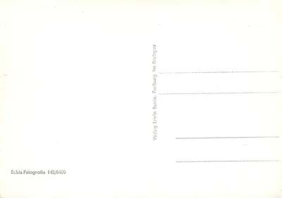 Wyspa Mainau (Jezioro Constance) z szwajcarskimi Alpami — Wydawca: Verlag Erwin Burdin, Freiburg im Breisgau, nr 142/8400 — Rewers