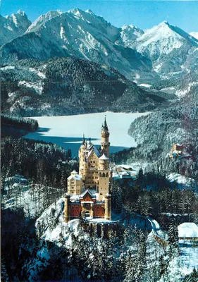 Castelo de Neuschwanstein — vista invernal — Original-Foto Kienberger, série D-8923