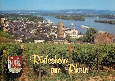 Rüdesheim am Rhein — vista panorâmica — Kunstverlag Edmund von König, n° 229