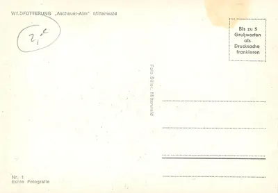 Karmienie zwierząt — Aschauer-Alm, Mittenwald — Foto Silier, Mittenwald, Nr. 1 — Rewers