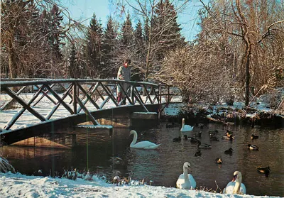 Bad Wörishofen — Parque Kneippkur no inverno — Franz Milz Verlag