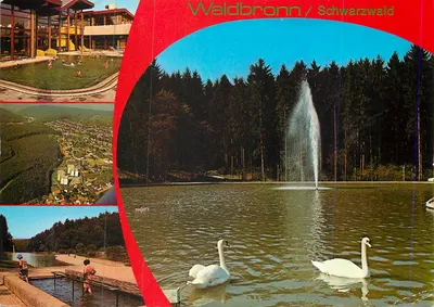 Waldbronn / Schwarzwald — vista do lago com cisnes e piscina — editor Anschichtskartenverlag