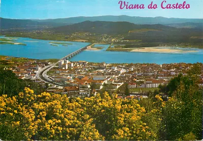 Viana do Castelo — vista parcial da cidade — Edições Lusocolor, n°273