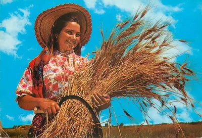 Mulher com trigo — Portugal — editor Centro de Caridade, série 351/A