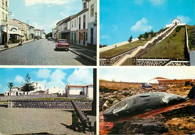 Santa Maria (Açores) — bairro da rua Dr. Teófilo Braga, ermida de N.ª Sr.ª de Fátima, ermida de S. Pedro Gonçalves e baleia — Éd. J. Elisabeth