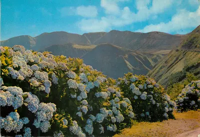 S. Miguel (Açores) — Montanhas de Sete Cidades — Edição da Fotografia Nobrega