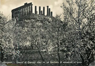 Agrigento - Templo de Junon visto de um bosque de mandarinas em flor
