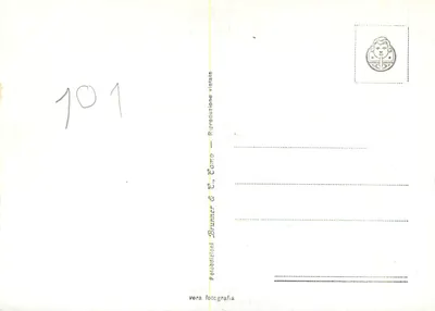 Villa Carlotta - Valtata delle Felci — Lago di Como — série 110-15, éditeur Brunner & C. — Verso