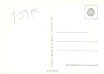Villa Carlotta — Jezioro Como — Gruppo di azalee — Rewers
