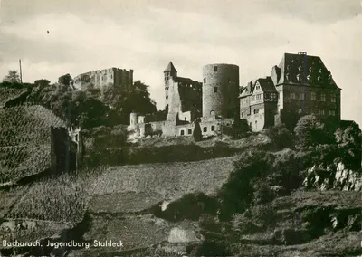 Bacharach. Jugendburg Stahleck — vista do castelo e das ruínas em um declive arborizado