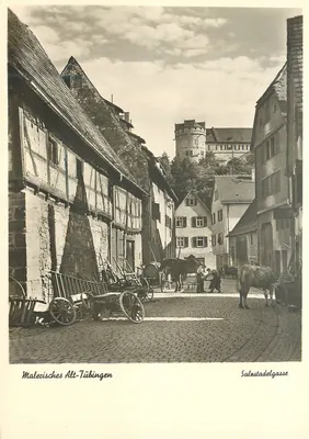 Maleviches Alt-Tübingen — Salestadelgasse — Gebr. Metz, Tübingen