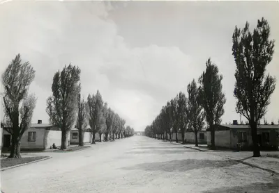 Rua principal no Campo — Dachau — Comité Internacional de Dachau