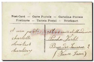 Bébé dans un décor de champignons — Souvenir d'amitié — République Française, série P.515 — Verso