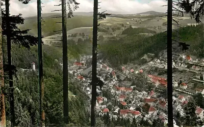 Triberg/Schwarzwald — vista panorâmica das florestas — FOTO PRINT Verlag A. Mauhle, Balingen-Württ. Nr. A 316.017 Z