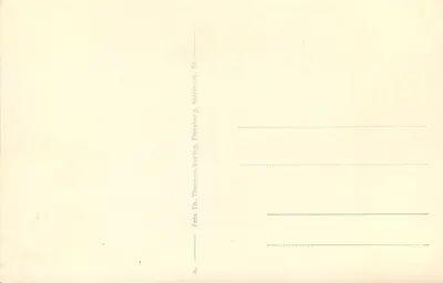 Flensburg — ulica z budynkami i drzewami — wydawca Th. Thomasen-Verlag — Rewers