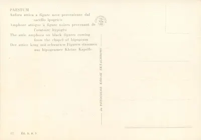 Anfora attica a figure nere proveniente dal sacello ipogeico — Paestum — Éd. S.A.S. n° 63 — Rewers