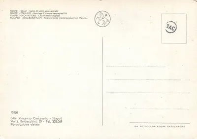 Pompéia — Calco d'uomo accovacciato — Ediz. Vincenzo Carcavello, n° 13560 — Verso