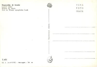 Reflexo de folhas — Menaggio — Ed. S. SAMPIETRO — Verso