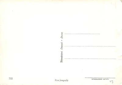 Lago Maggiore - Cannero - Panorama — Éditeur Capucci, n° 725 — Verso