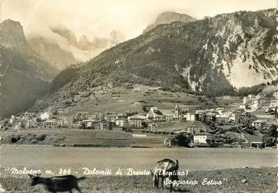 Molveno m. 864 - Dolomiti di Brenta (Drentino) - Soggiorno Estivo
