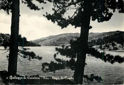 Lago di Cecifa - Sila - Bellezze di Calabria — série 3 — editor Ed. Rag. F. Scornaienghi - Cossonza