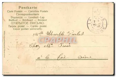 Fleurs — Carte de vœux — éditeur S. 437 — Verso