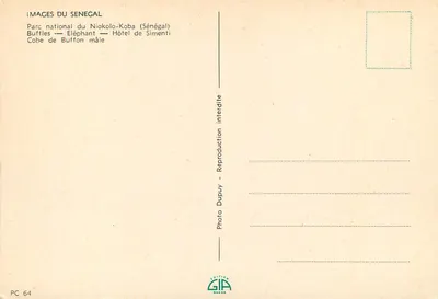 Narodowy Park Niokolo-Koba — Buffalo, Słoń, Samiec Cob z Buffona, Hotel Simenti — Wydawnictwo Dupuy Dakar — Rewers
