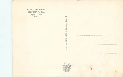 Lew — ryk w sawannie — Wydawnictwo HOA-QUI, nr 3312 — Rewers