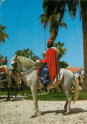 Guarda vermelha montada — Dakar — Edição Africa B.F. 1962