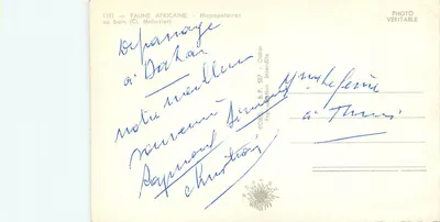 Hippopotame im Bad — Afrikanische Tierwelt — Cl. Mahuzier, Nr. 1101 — Rückseite
