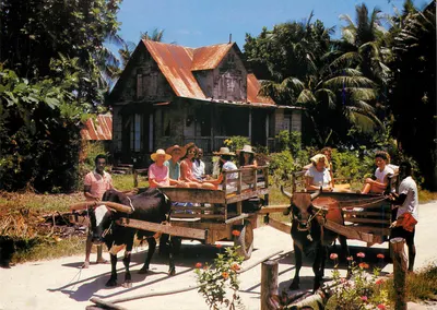 La Digue — Seychelles — Foto John Hone — Foto de inteiro postal