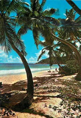 Anse Gaulette, Mahe — Seychelles — Photo Eden Ltd