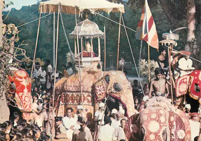 Festa de Perahera em Kandy — Sri Lanka — edição MJJ Card