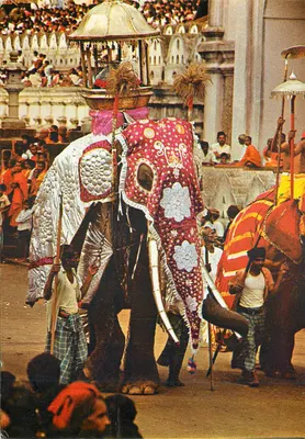 Kandy Esala Perahera — Hommage ao relicário do Buda — Offset by Lake House Printers & Publishers Ltd. Sri Lanka