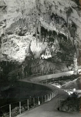 Gruta de Postojna — Eslovênia — editor Postojnska Jama, n° 213-43