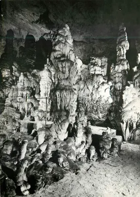 Gruta de Postojna — Sujeito principal — Založnik 'Postojnske Jame', Beograd