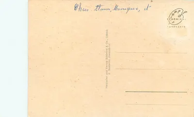 Donauquelle — vista do castelo e da estátua — editor Schöning & Co., Doneschingen — Verso