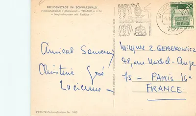 Freudenstadt no Schwarzwald — Neptunbrunnen com Rathaus — Müller-Fotokarten Nr. 2445 — Verso