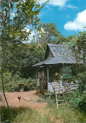 Guiana Francesa - Oyapock — Bonito cabaré coberto com tábuas — Éditions G. Delabergerie, n°295