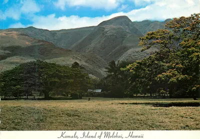 Kamalo, Ilha de Molokai, Hawaii — vista de vale e montanhas — PostCards Hawaii, n° C-306