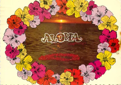 Pôr do sol havaiano — moldura de leis de hibisco — Dexter Press, Inc.