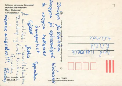 Arranjo de poinsettia e galhos de pinheiro — editor Képzművészeti Alap Kiadóvállalata, Budapeste, n° 1003/844 — Verso
