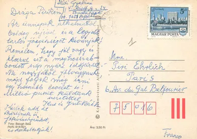 Kompozycja kwiatowa — lili i gałęzie kwiatów — wydawca Balogh Béla, NyN.-918/821 — Rewers