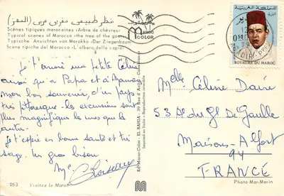 Árvore de cabras — Marrocos — Éd. Maroc-Color n° 053 — Verso