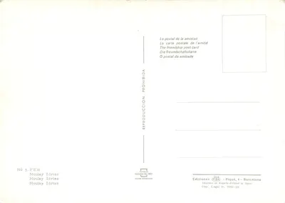Wnętrze marokańskiego riadu — szczegóły architektoniczne — Ediciones FISA, n° 5 FES — Rewers
