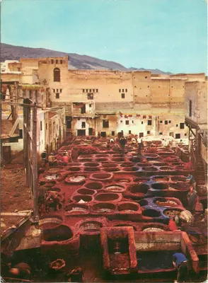 Fès : Os Tanners — 904 004 — Editor não visível